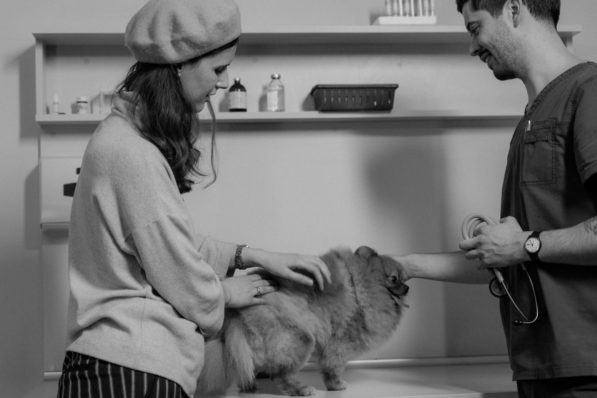 Veterinary practice and pet services revenue operations guide for Pulse RevOps
