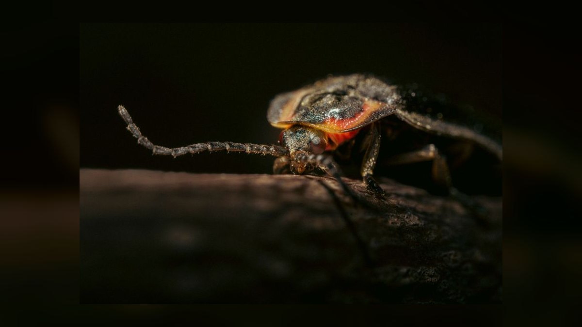 The 10 Best AI Tools for Concept Art in 2027 — figure 3