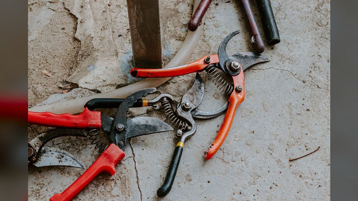 The 10 Best AI Tools for Garden Design in 2027 — figure 2