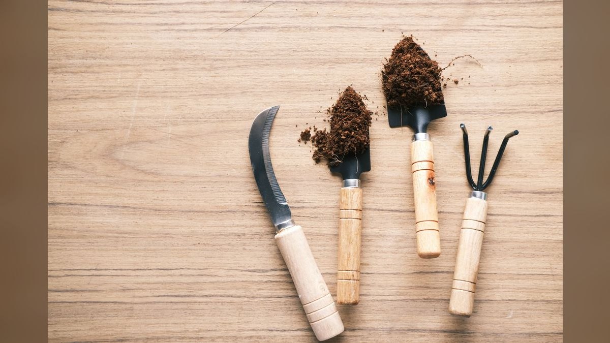 The 10 Best AI Tools for Garden Design in 2027 — figure 3