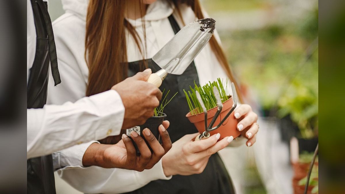 The 10 Best AI Tools for Garden Design in 2027 — figure 4