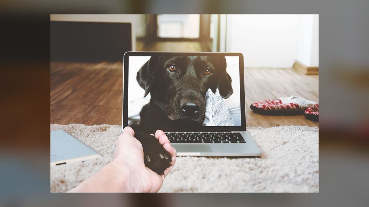 The 10 Best AI Tools for Sales Call Summaries in 2027 — figure 8