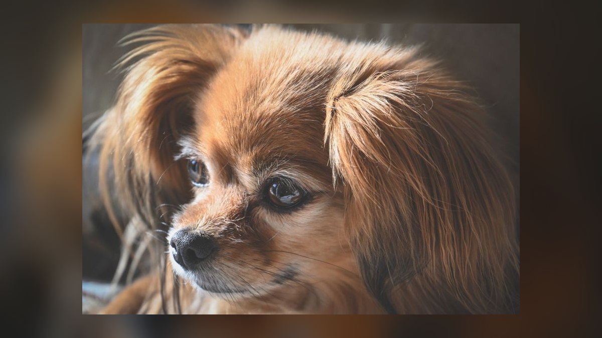 The 10 Best AI Tools for Tailwind CSS in 2027 — figure 4