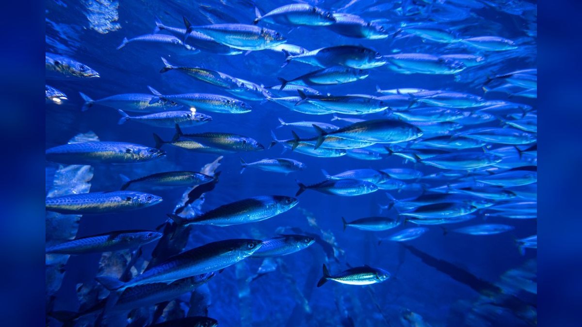 Top 10 Aquarium Filters 2027 — figure 5