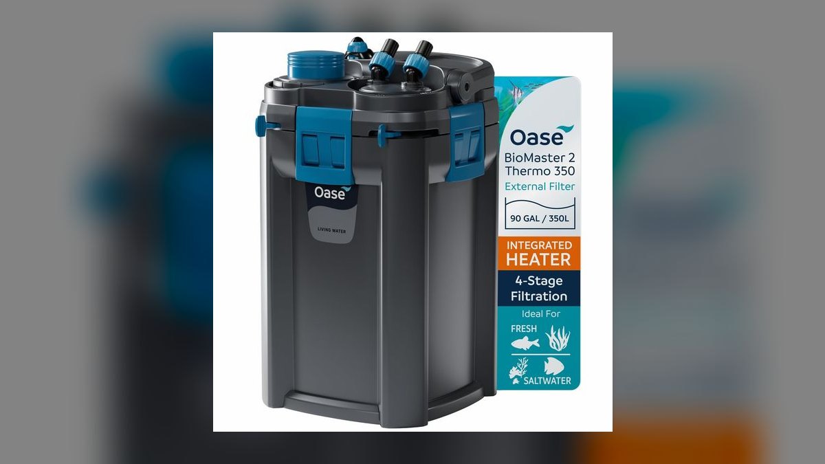 Top 10 Canister Filters 2027 — figure 8