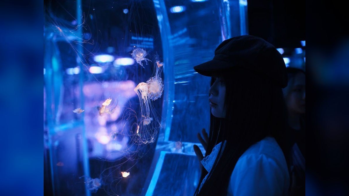 Top 10 Aquarium LED Lights 2027