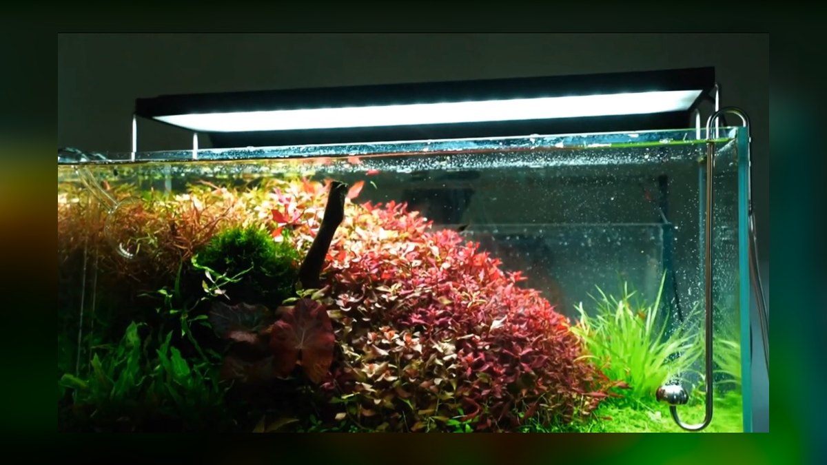 Top 10 Planted Tank LED Lights 2027 — figure 1