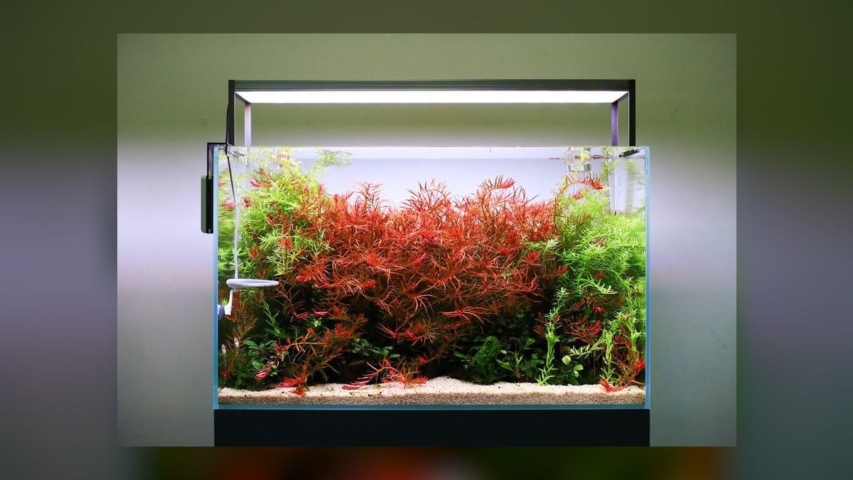 Top 10 Planted Tank LED Lights 2027 — figure 4