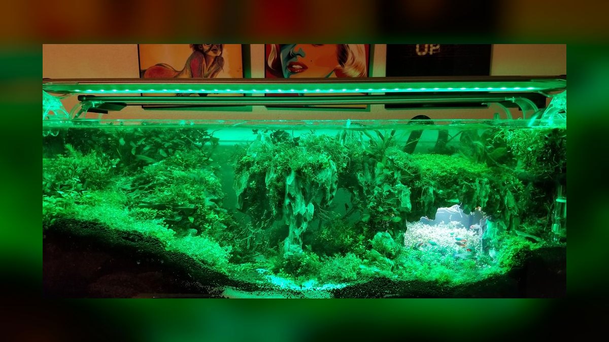 Top 10 Planted Tank LED Lights 2027 — figure 7