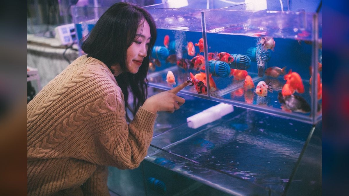 Top 10 Aquarium Air Pumps 2027