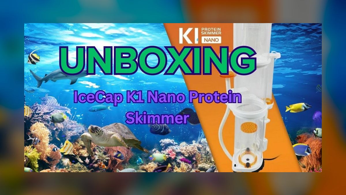 Top 10 Protein Skimmers 2027 — figure 10