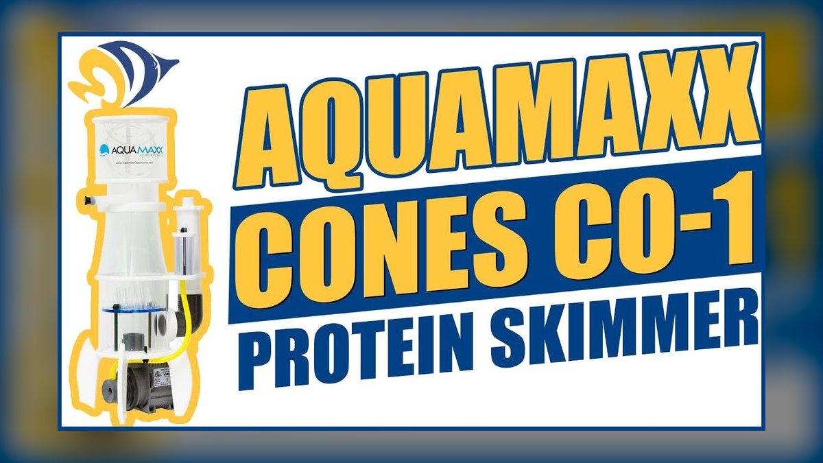 Top 10 Protein Skimmers 2027 — figure 8