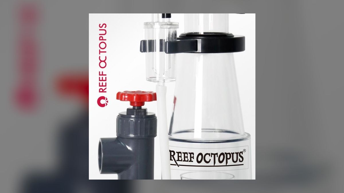 Top 10 Protein Skimmers 2027