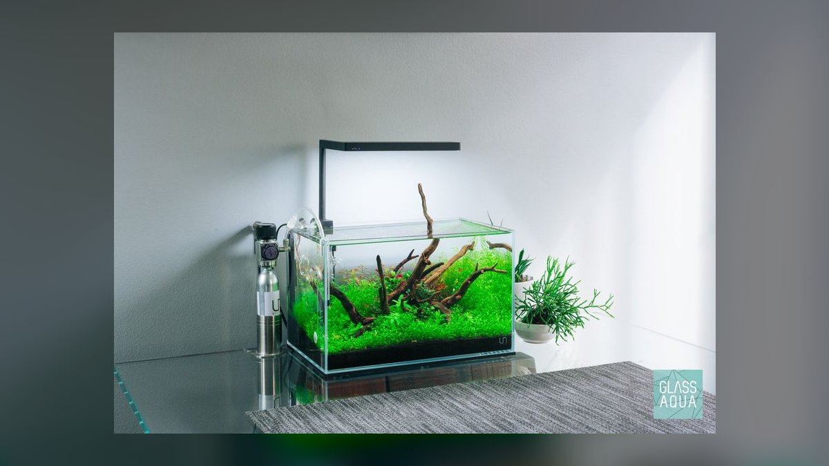 Top 10 Aquarium CO2 Systems 2027 — figure 9