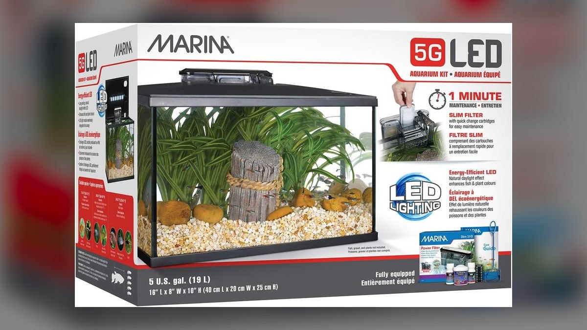 Top 10 Nano Aquariums 2027 — figure 7