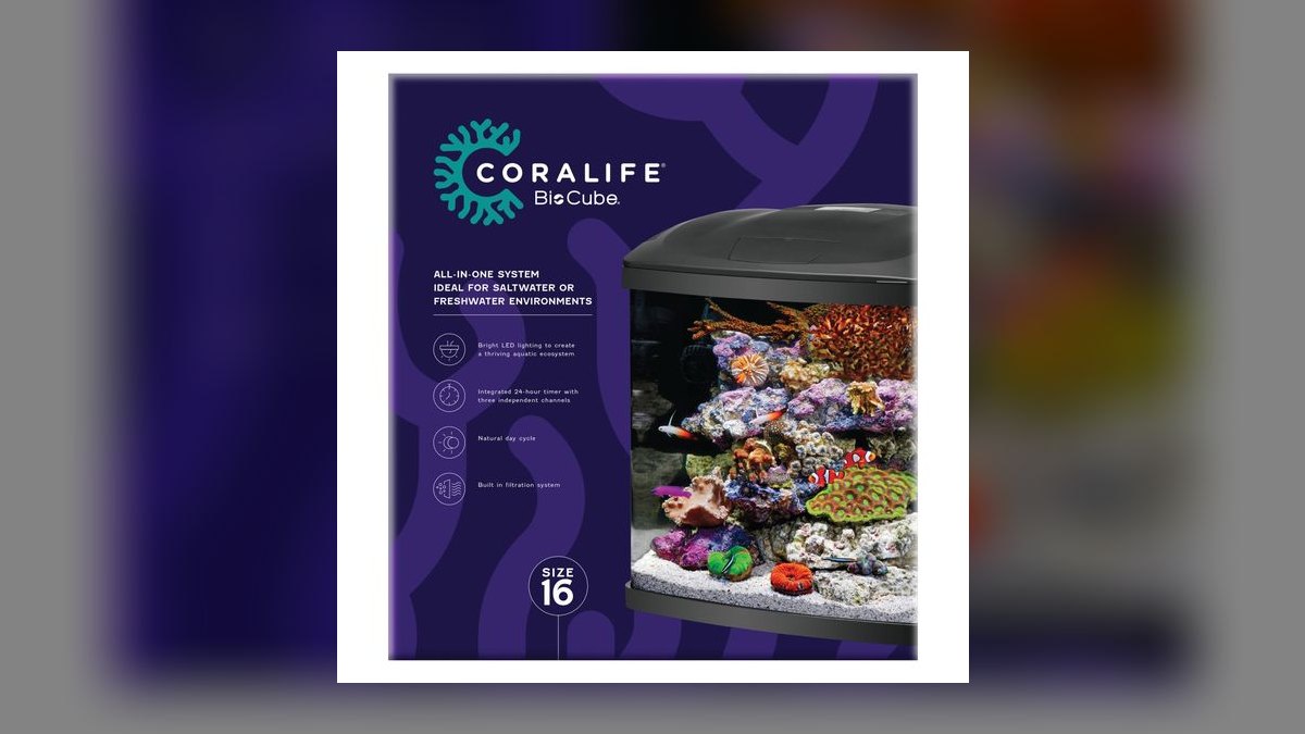 Top 10 Betta Fish Tanks 2027 — figure 7
