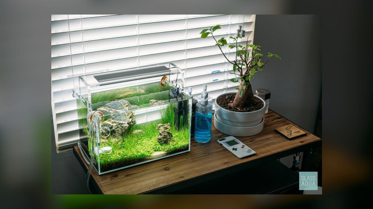 Top 10 Betta Fish Tanks 2027 — figure 9