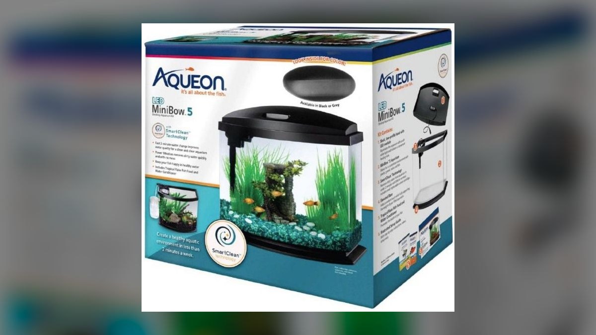 Top 10 5-Gallon Aquariums 2027 — figure 2