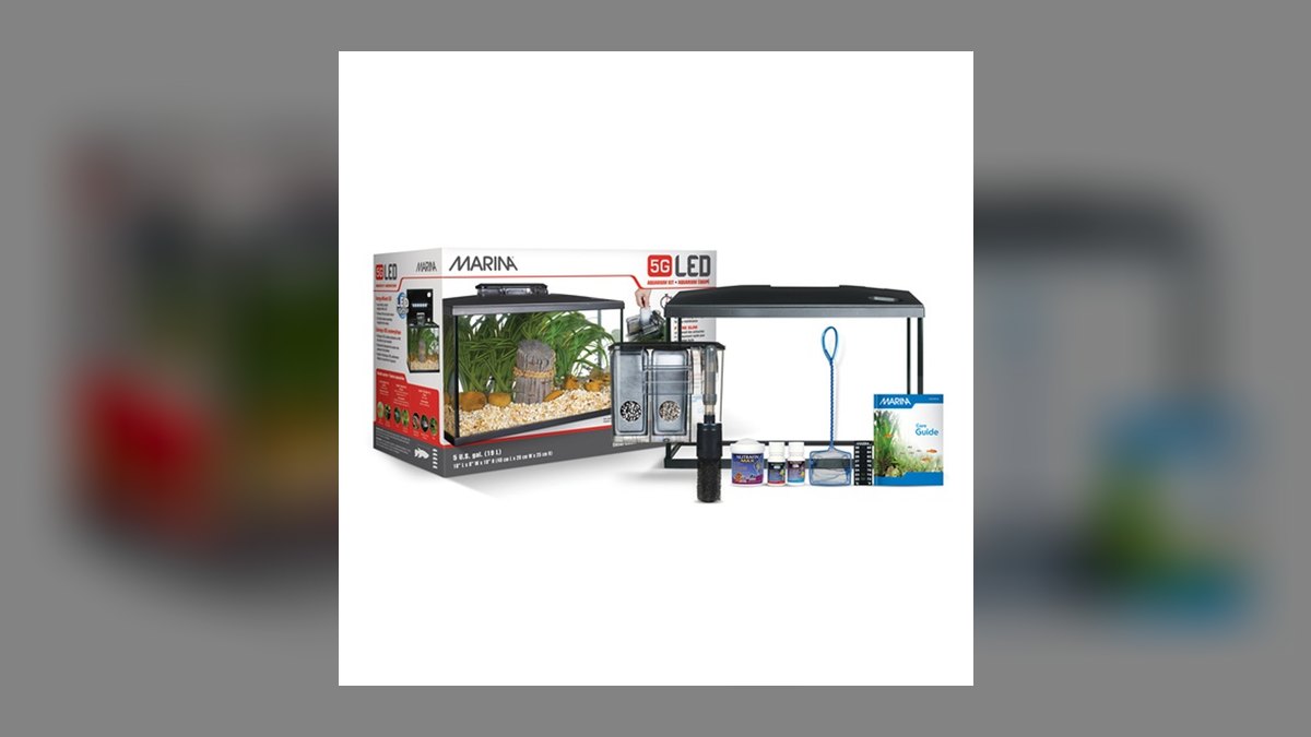 Top 10 5-Gallon Aquariums 2027 — figure 3