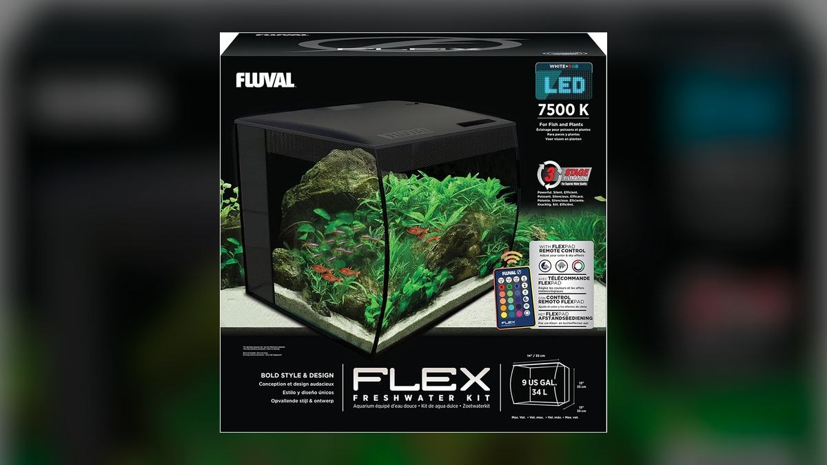 Top 10 5-Gallon Aquariums 2027 — figure 4
