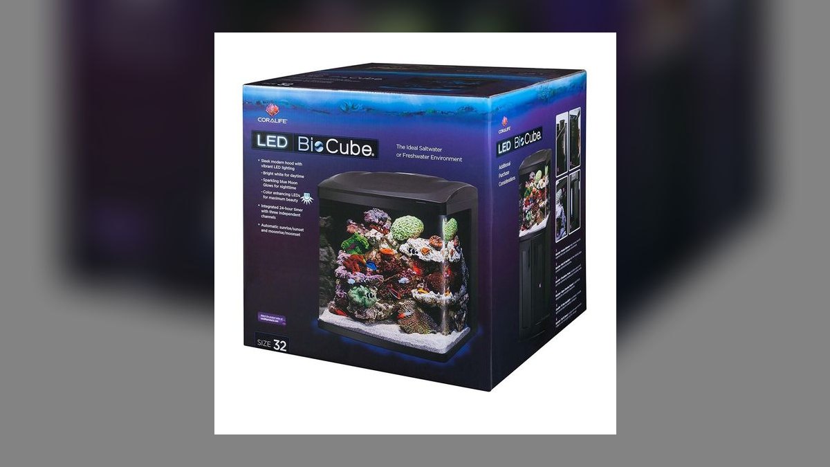 Top 10 5-Gallon Aquariums 2027 — figure 6