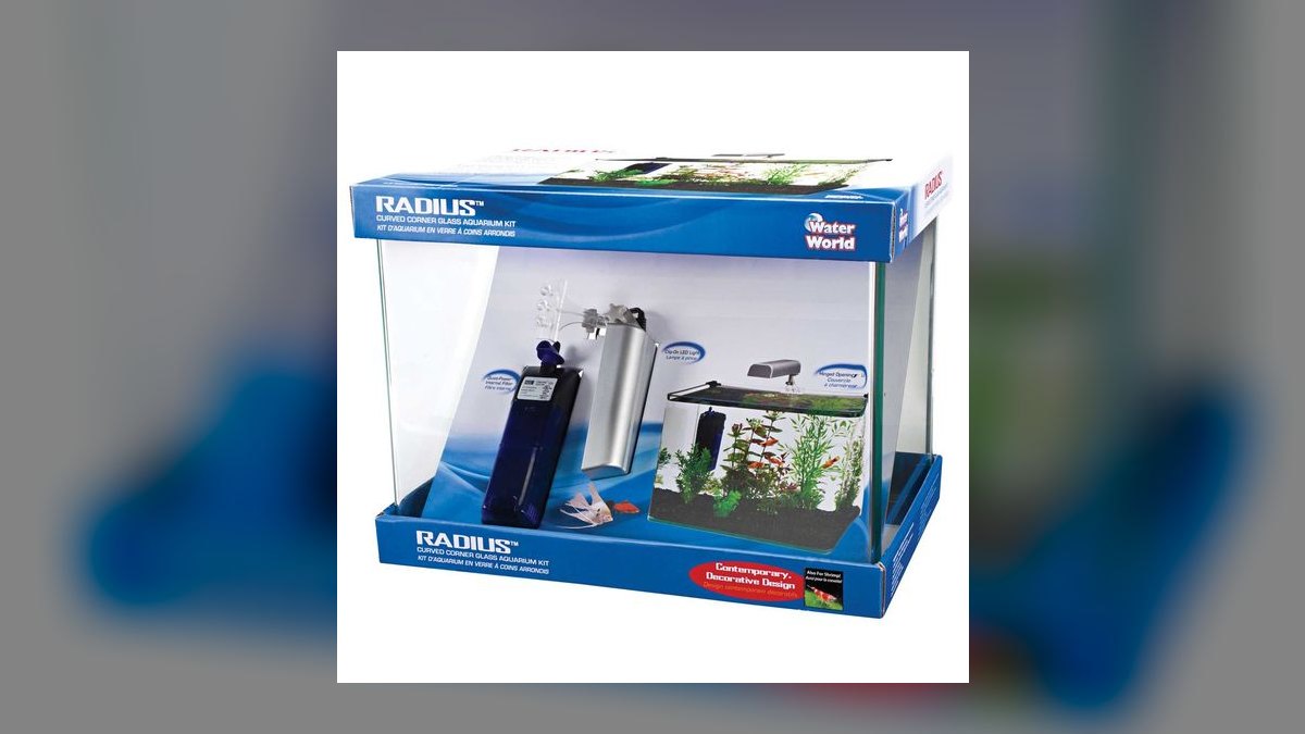 Top 10 5-Gallon Aquariums 2027 — figure 8