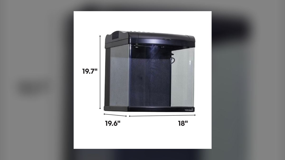 Top 10 5-Gallon Aquariums 2027 — figure 9