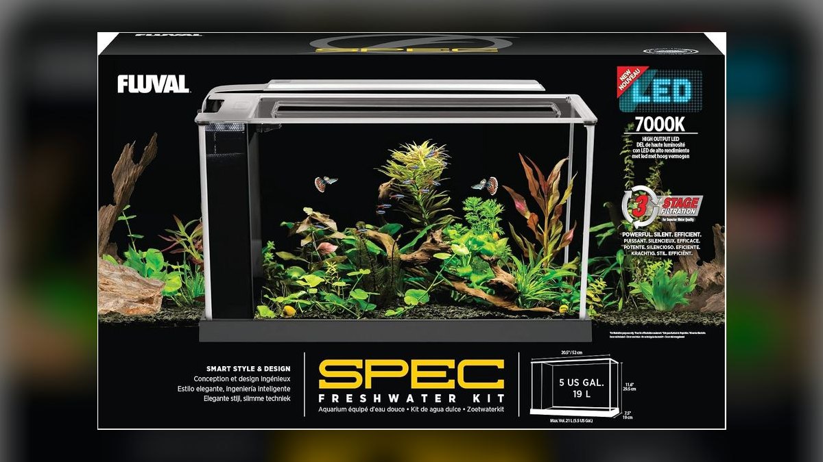 Top 10 5-Gallon Aquariums 2027
