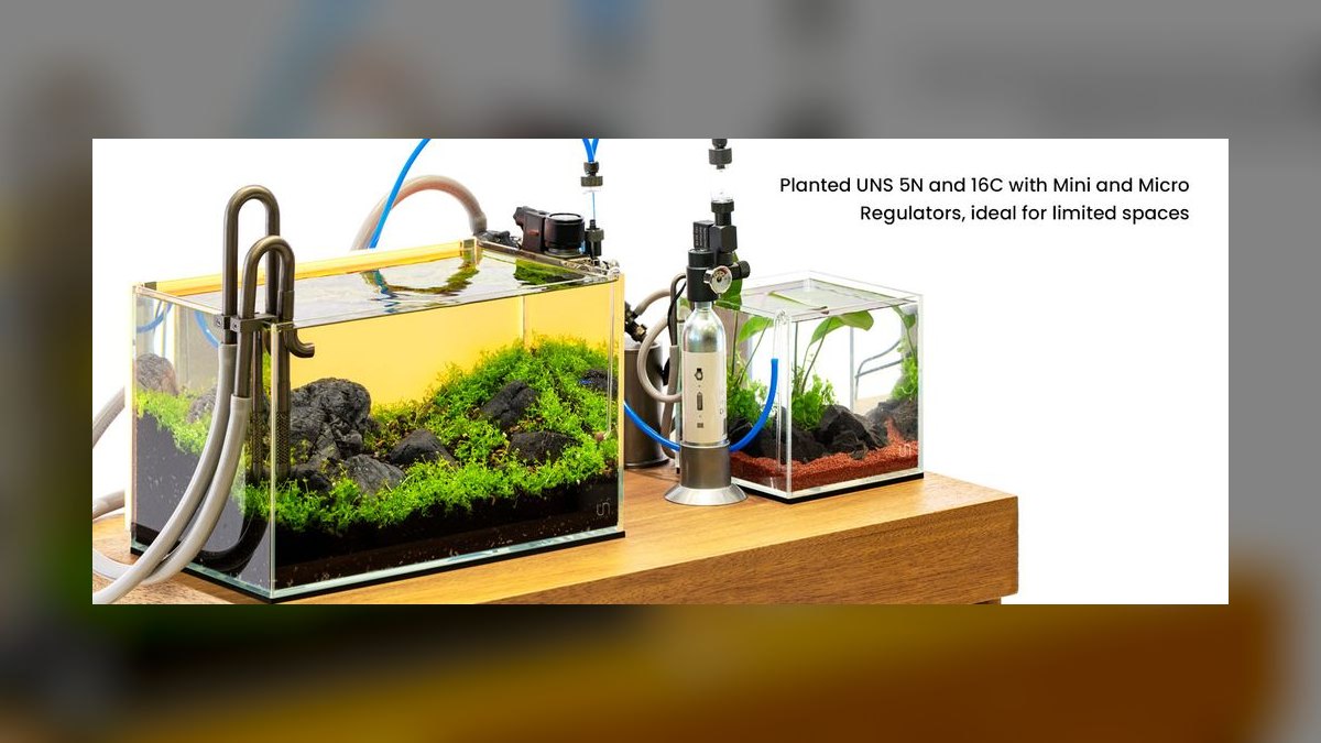 Top 10 10-Gallon Aquariums 2027 — figure 10