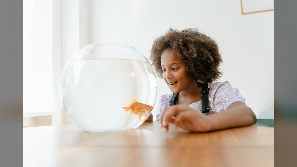Top 10 20-Gallon Aquariums 2027 — figure 2