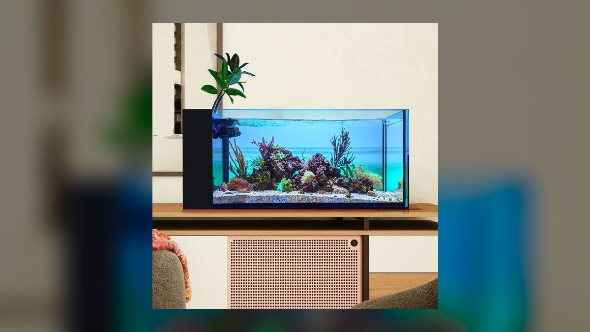 Top 10 20-Gallon Aquariums 2027 — figure 9