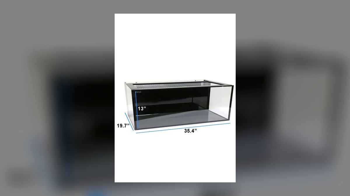 Top 10 40-Gallon Aquariums 2027 — figure 10