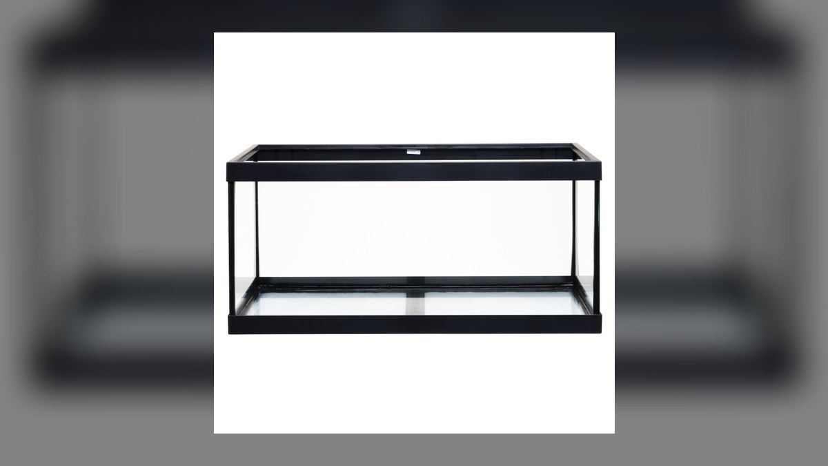 Top 10 40-Gallon Aquariums 2027 — figure 7