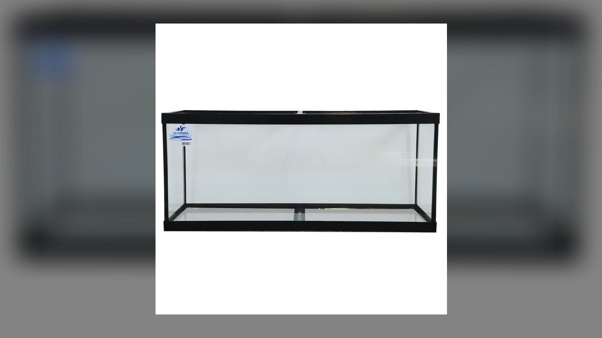 Top 10 40-Gallon Aquariums 2027 — figure 9