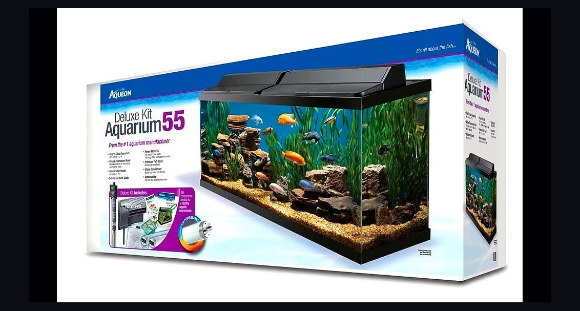 Top 10 40-Gallon Aquariums 2027