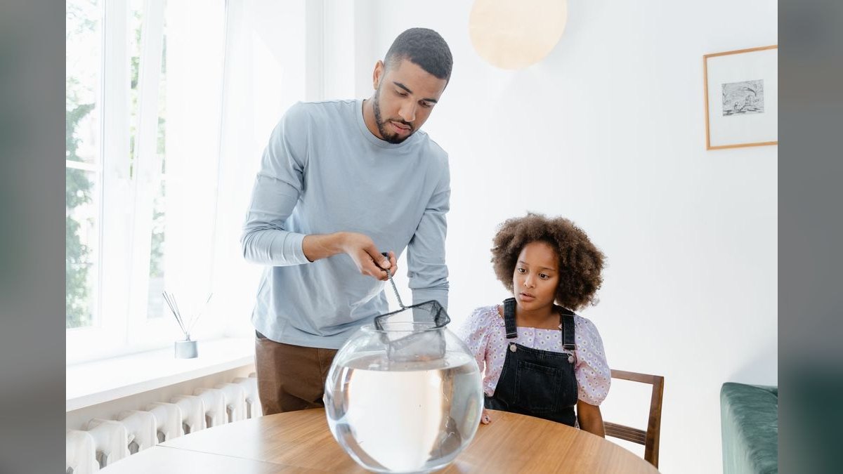 Top 10 75-Gallon Aquariums 2027 — figure 4
