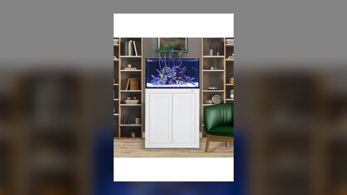 Top 10 75-Gallon Aquariums 2027 — figure 8