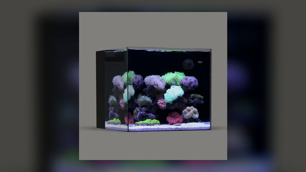 Top 10 Rimless Aquariums 2027 — figure 10