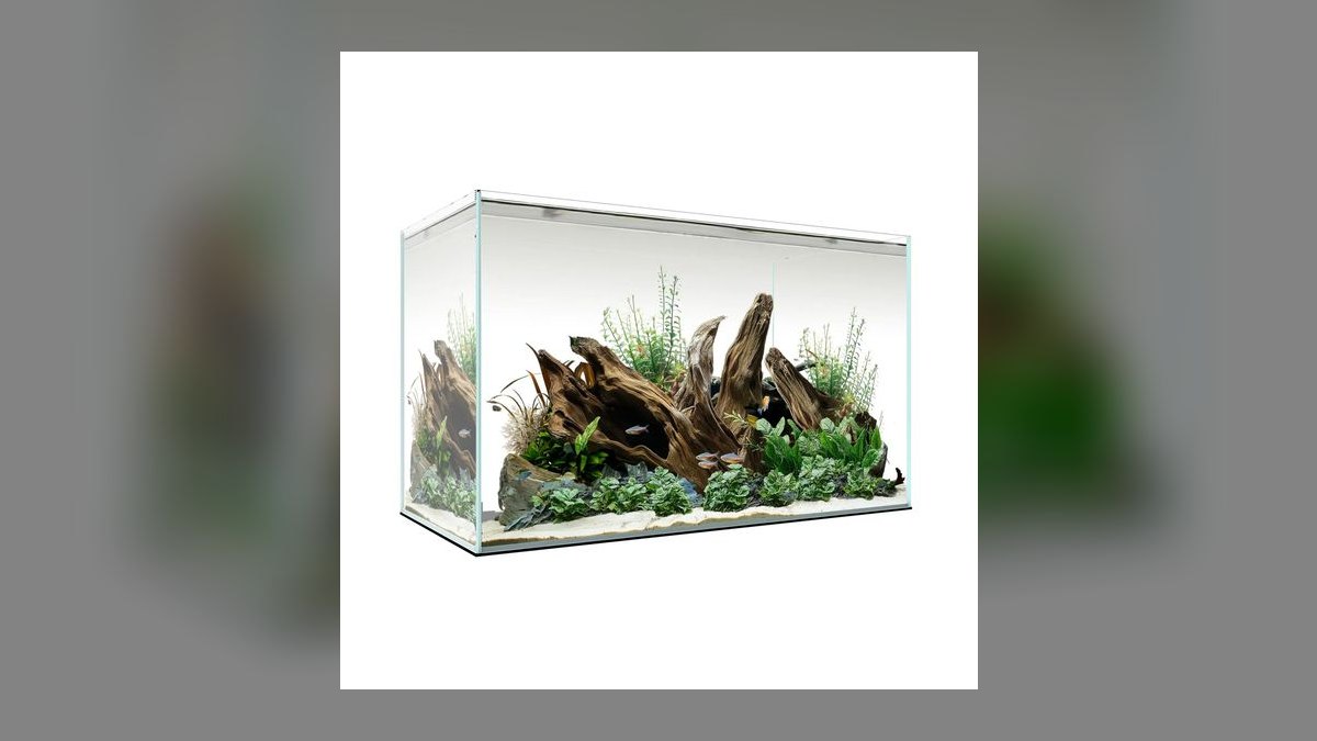 Top 10 Rimless Aquariums 2027 — figure 3