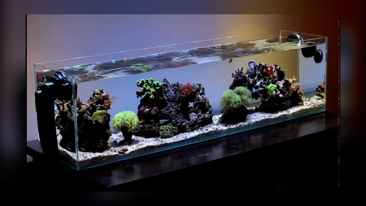 Top 10 Rimless Aquariums 2027 — figure 4