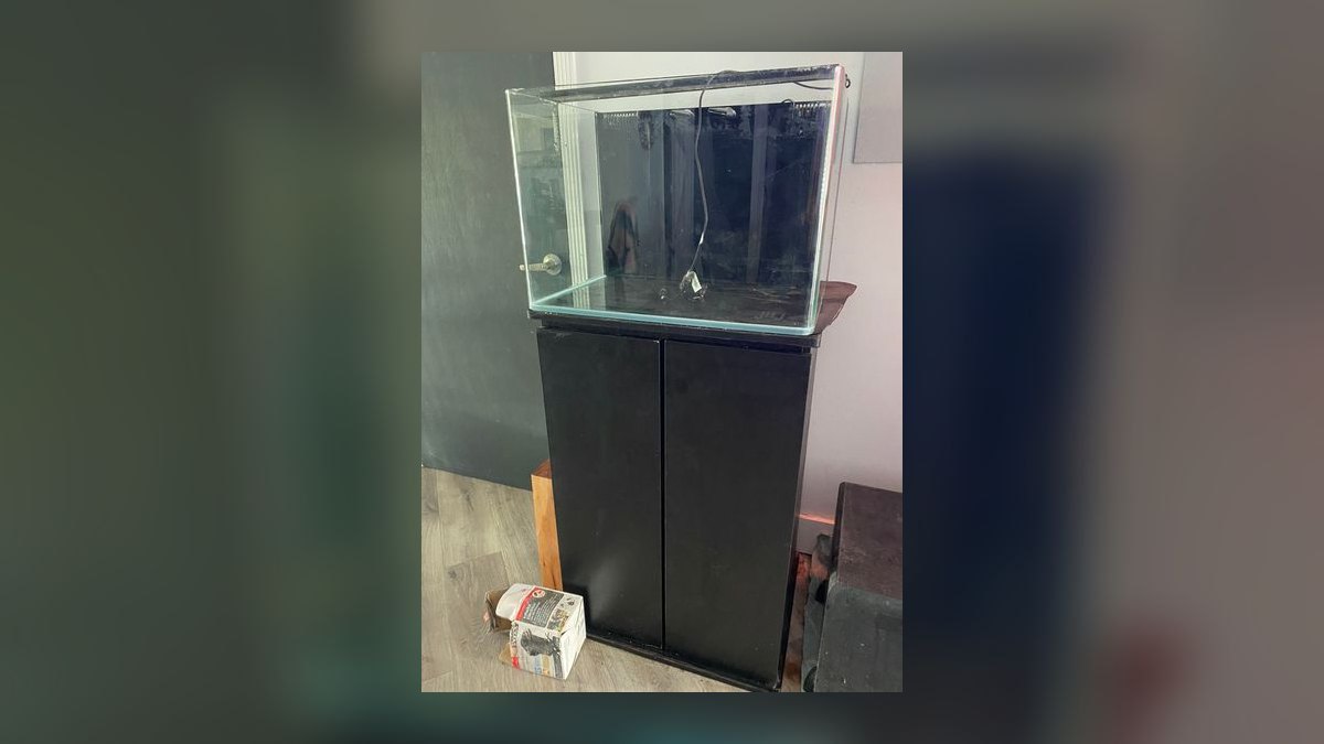 Top 10 Rimless Aquariums 2027 — figure 8