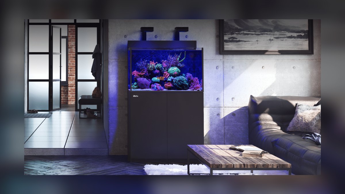 Top 10 All-in-One Reef Tanks 2027 — figure 9