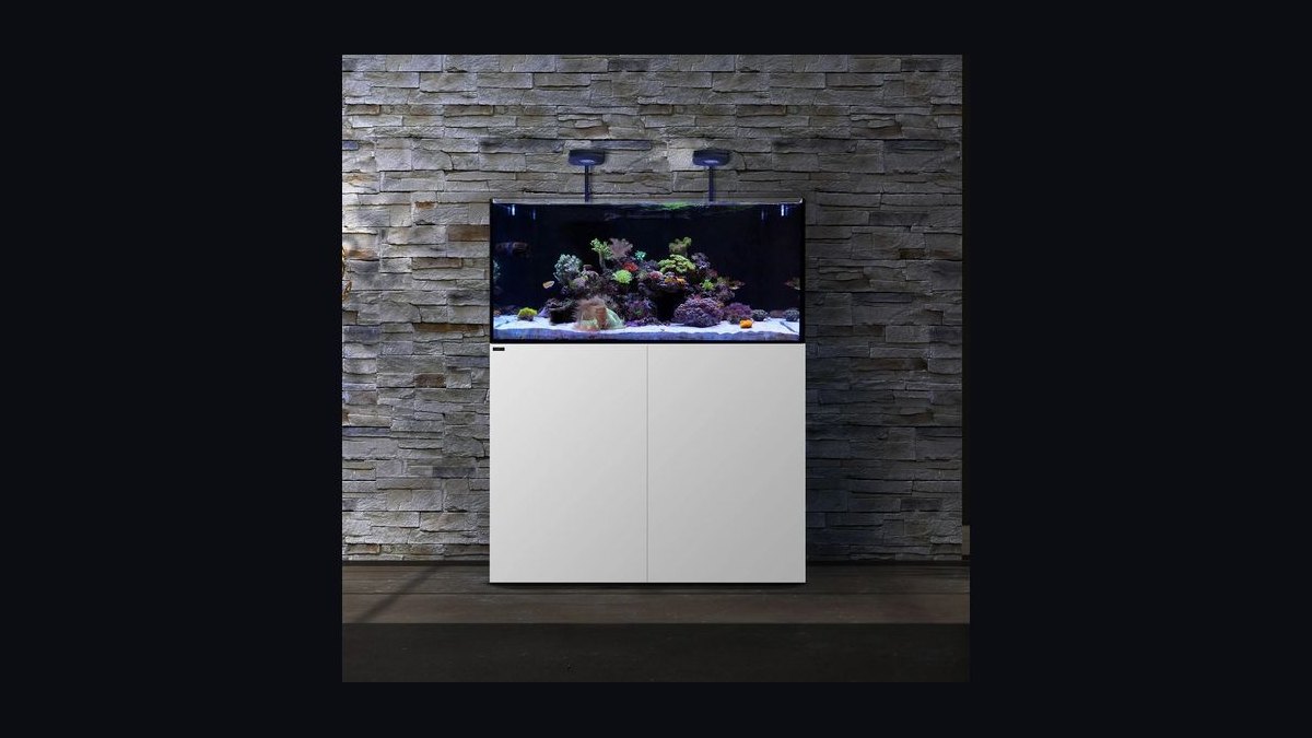 Top 10 All-in-One Reef Tanks 2027