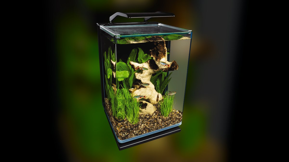 Top 10 Aquarium Starter Kits 2027 — figure 4