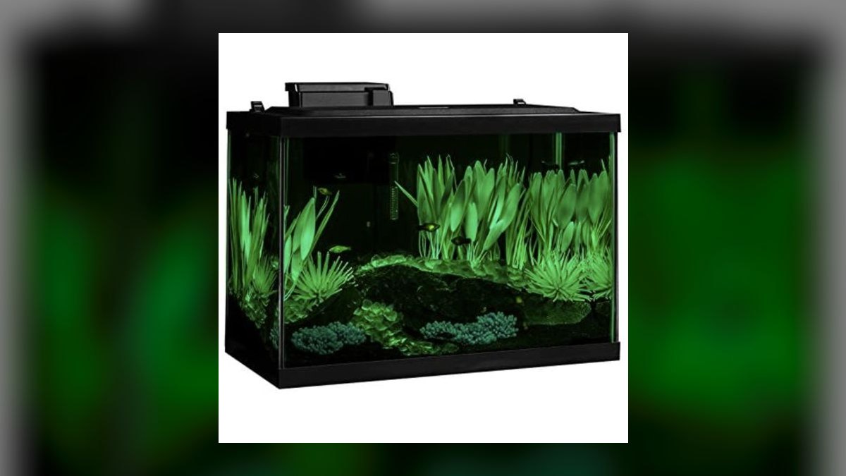 Top 10 Aquarium Starter Kits 2027 — figure 5