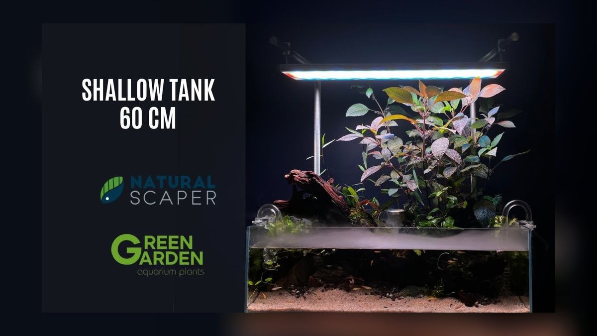 Top 10 Aquarium Starter Kits 2027 — figure 7