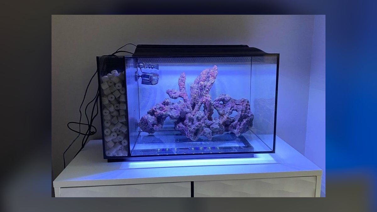 Top 10 Aquarium Starter Kits 2027 — figure 9