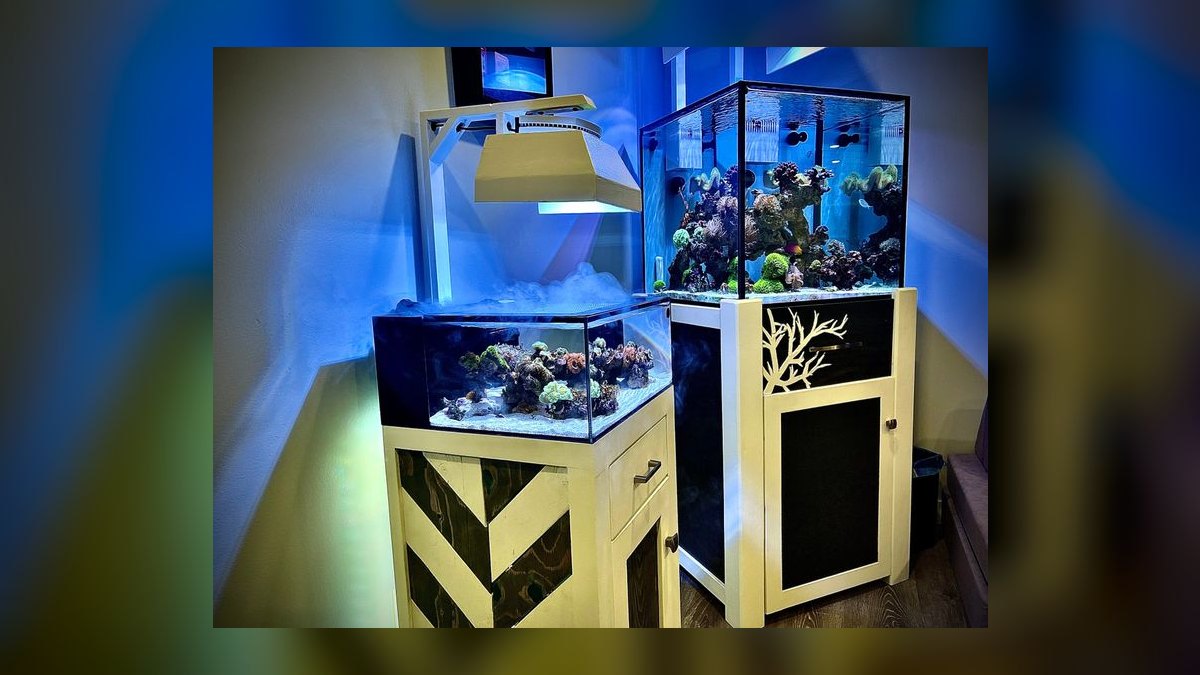 Top 10 Pico Reef Tanks 2027 — figure 10