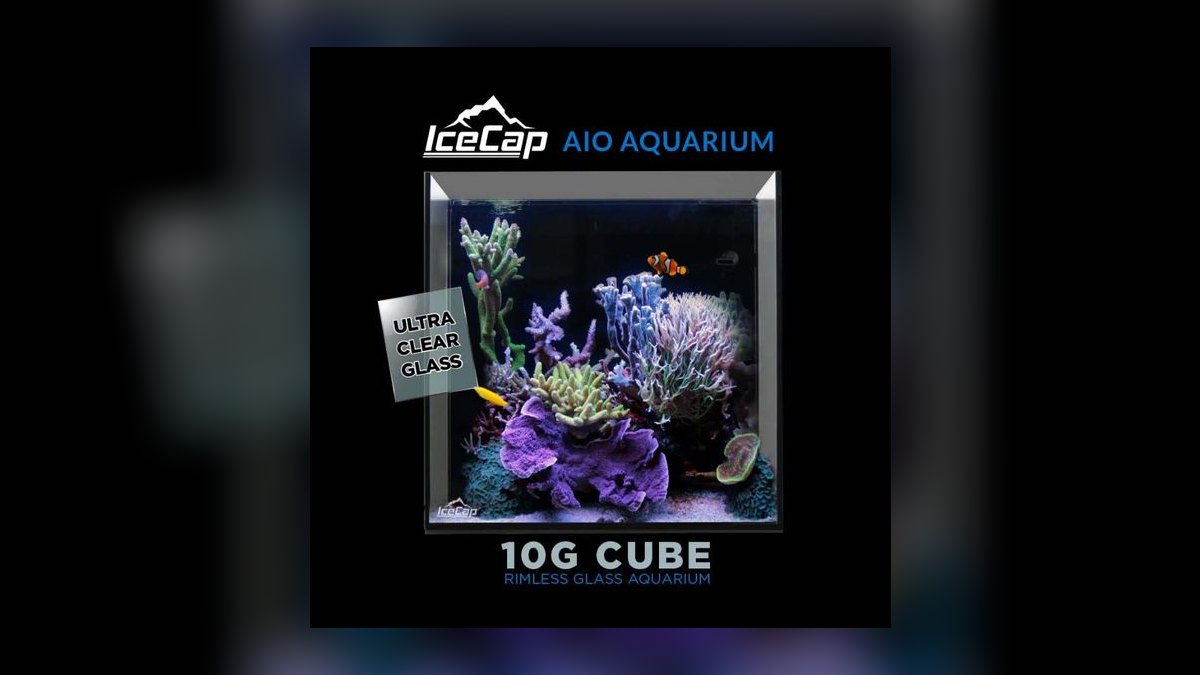 Top 10 Pico Reef Tanks 2027 — figure 8