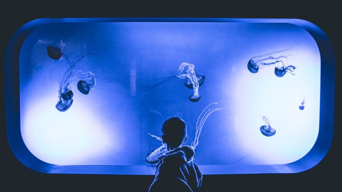 Top 10 Acrylic Aquariums 2027 — figure 1